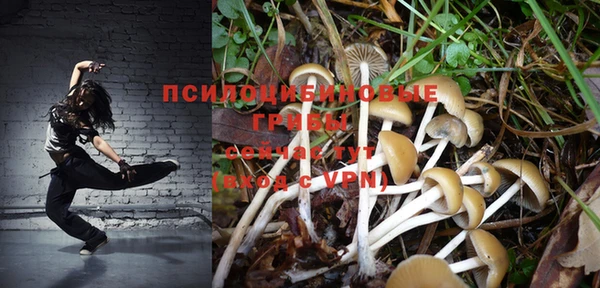 МДПВ Навашино