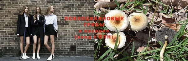 гашик Надым